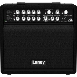 Laney A1+