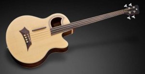 Warwick RockBass Alien Deluxe 4-Str Fretless Natural Transparent Satin gitara basowa