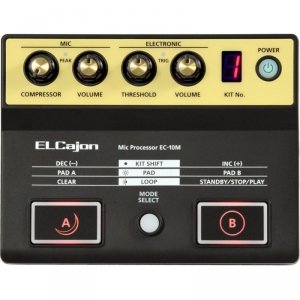 Roland EC10M Procesor do Cajona
