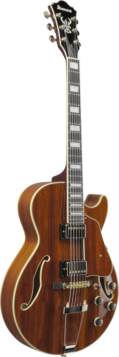 Ibanezギター Ibanez】KORNシグネイチャーモデル・誕生20周年を記念した限定
