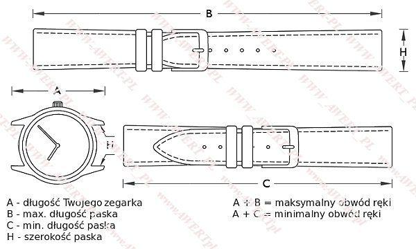 CASIO LRW-200H -2EV oryginalny pasek 14 mm