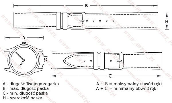 CASIO GA-100CF -1A oryginalny pasek 16 mm