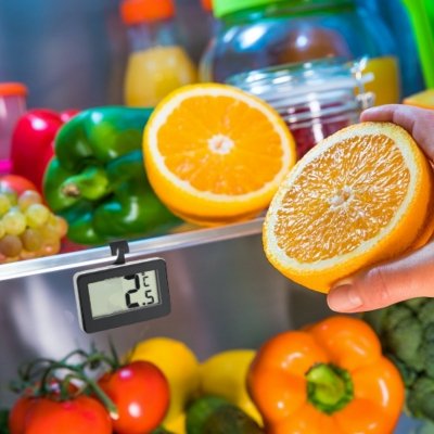 TFA 30.2028.01 – termometr lodówkowy elektroniczny, uchwyt magnetyczny