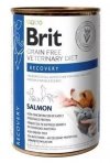Brit Veterinary Diet Dog & Cat Recovery 400g