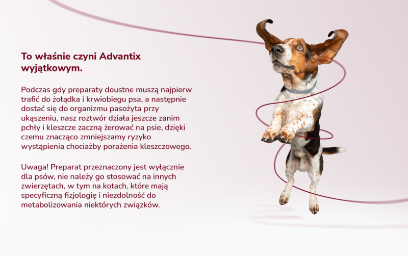  BAYER ADVANTIX dla bardzo małych psów – do 4kg 1 pipeta