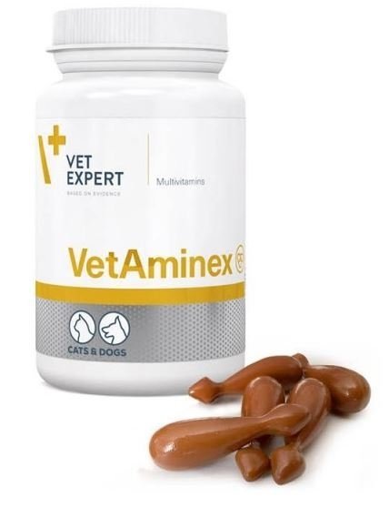 VetExpert Vetaminex preparat witaminowo-mineralny dla psów i kotów 60kaps.