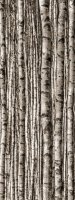 Dekor Szklany 4-elemntowy Birch 239,8x89,8 Dekor Szklany 4-elemntowy Birch 239,8x89,8