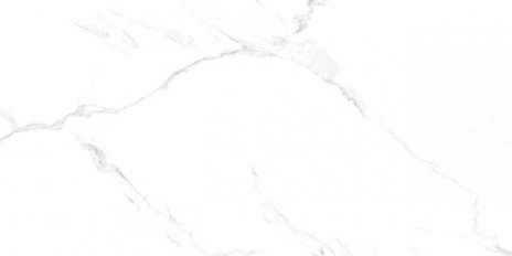 Carrara Blanco Carving 60X120