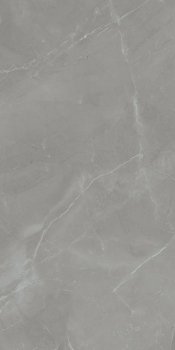 Tubądzin Grey Pulpis POL 119,8x59,8