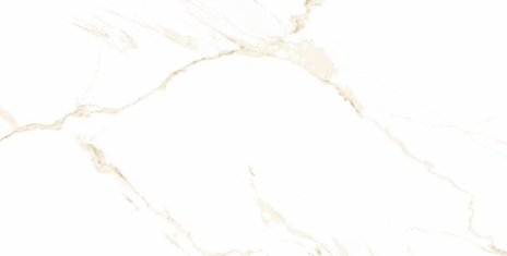 Carrara Gold Lappato 60X120
