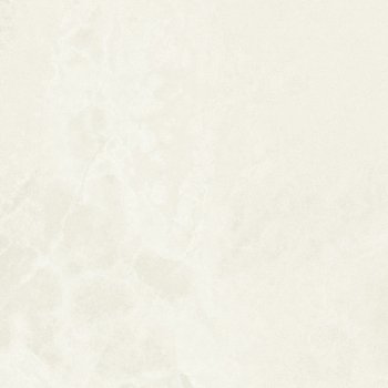 Domino Biloba Ivory 59,8X59,8