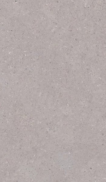 Paradyż Architeq Grain Light Grey Gres  Rekt. Mat 59,8x119,8