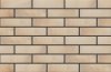 CERRAD elewacja retro brick salt 245x65x8 g1 m2