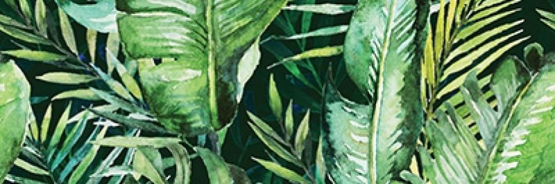 CERAMIKA KOŃSKIE braga tropic b inserto 25x75 rect g1 szt