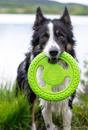 Kiwi Walker Let&#039;s Play Frisbee Mini różowe