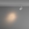  Lampa szynowa reflektor szynoprzewody jednofazowe LED nowoczesny aluminium biała regulowana tuba VUORO MAYTONI TR003-1-26W3K-S-W