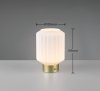Dekoracyjna Lampka Stołowa LED W kolorze Mosiądz Szklany Klosz LORD R57761101 RL