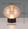 Dekoracyjna Lampka Stołowa LED Bursztynowy Szklany Klosz EARL R57771113 RL