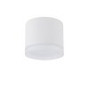 Nowoczesna Oprawa Sufitowa Natynkowa Plafon SILBA WH CG 10476 Nowodvorski Lighting