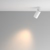 Lampa sufitowa plafon tuba regulowana aluminium biała Calipso MAYTONI C108CL-01-GU10-W