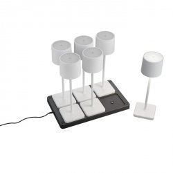 Lampki Stołowe Przenośne Akumulatorowe Białe LED FERNANDEZ R54096631 RL