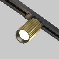 Ścieżka świetlna lampa szynowa nowoczesna regulowana tuba aluminium mosiądz Calipso MAYTONI TR218-1-GU10-BS
