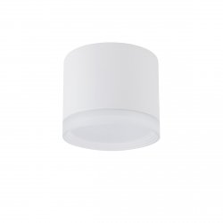 Nowoczesna Oprawa Sufitowa Natynkowa Plafon SILBA WH CG 10476 Nowodvorski Lighting