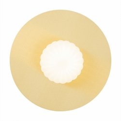 Nowoczesny kinkiet designerski plafon talerz mosiądz szczotkowany szklana kula 30cm ryflowane mleczne szkło dekoracja ścienna PALOMA 8503 Argon