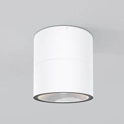 Nowoczesna lampa zewnętrzna sufitowa LED metalowa biała regulowana tuba Spin MAYTONI O310CL-L12W3K