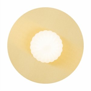 Nowoczesny kinkiet designerski plafon talerz mosiądz szczotkowany szklana kula 30cm ryflowane mleczne szkło dekoracja ścienna PALOMA 8503 Argon
