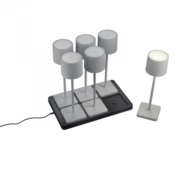 Lampki Stołowe Przenośne Akumulatorowe Szare LED FERNANDEZ R54096677 RL