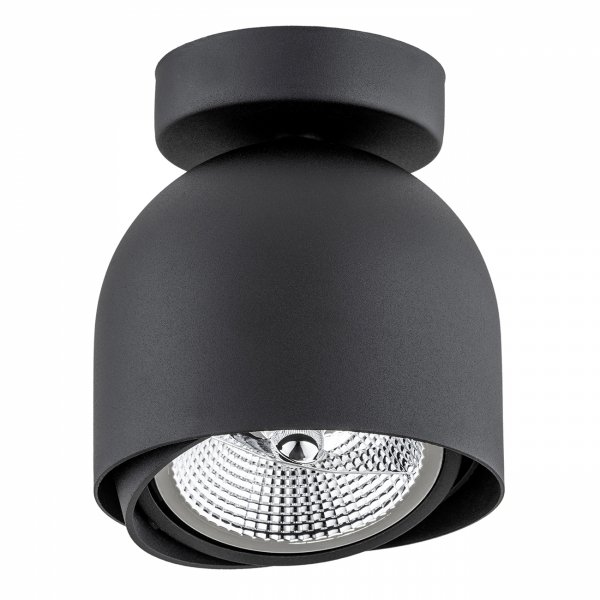 Nietuzinkowy nowoczesny klasyczny minimalistyczny regulowany reflektor plafon czarny GARLAND 4711 Argon