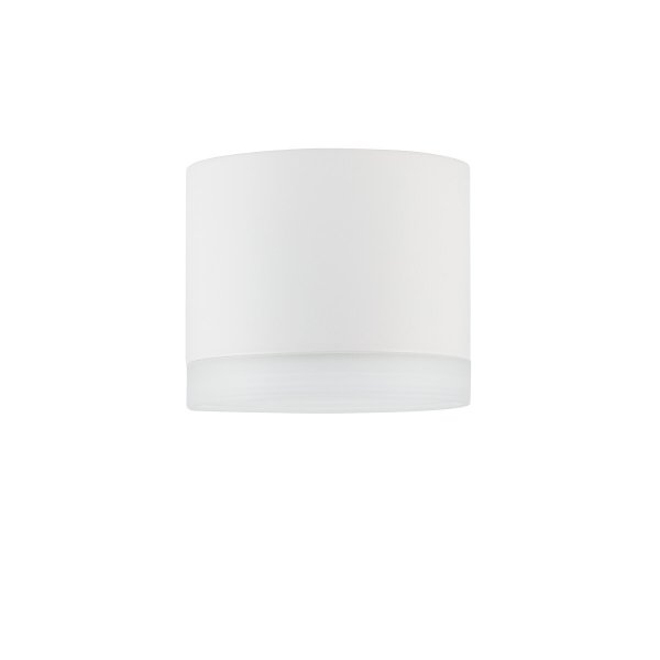 Nowoczesna Oprawa Sufitowa Natynkowa Plafon SILBA WH CG 10476 Nowodvorski Lighting