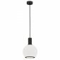 Czarna ponadczasowa lampa wisząca jedno płomienna z mlecznym kloszem kulistym SAGUNTO PLUS 8564 Argon 
