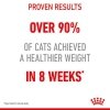 Royal Canin Light Weight Care w galaretce karma mokra dla kotów dorosłych, z tendencją do nadwagi saszetka 85g