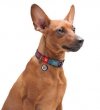 Collar WauDog Nylon Obroża nylonowa z QR-paszportem, plastikowy fastex, wzór LATO, 25mm/33-49cm