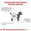 Royal Canin Veterinary Diet Canine Gastrointestinal Low Fat Small 3,5kg