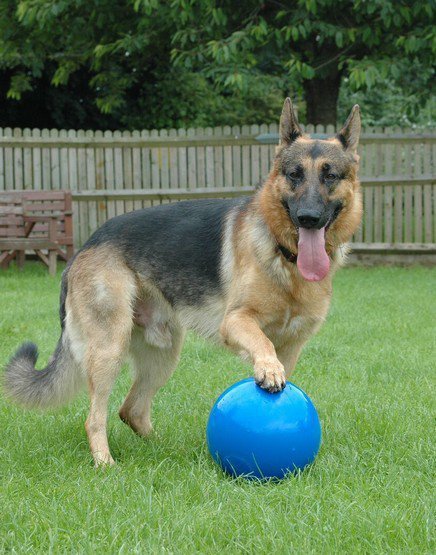 Boomer Ball XL - 10&quot; / 25cm niebieska