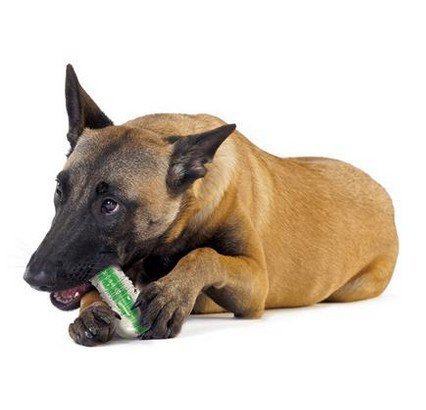 Petstages CrunchCore large PS266
