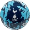 Tottenham Hotspur piłka nożna 70098224