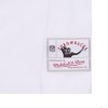 Mitchell & Ness t-shirt NFL Team Logo Tee Green Bay Packers BMTRINTL1053-GBPWHIT