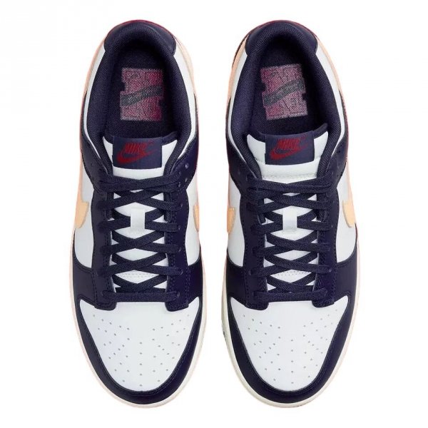 Nike buty męskie Dunk Low Retro FV8106-181