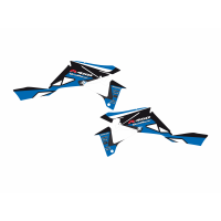 BLACKBIRD KOMPLET NAKLEJEK (OKLEIN) SUZUKI LTR 450 (06-15) Dream2 