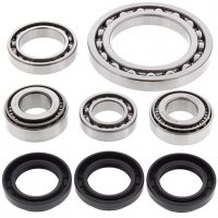 All Balls Zestaw naprawczy dyferencjału przód Arctic Cat 500 4x4 w/MT (00 - 01) 