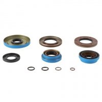 ALL BALLS USZCZELNIACZE DYFERENCJAŁU TYLNEGO POLARIS RZR 570 EFI 16-20, RZR 570 EFI EPS 19-20, RZR XP 1000 INTL 15 