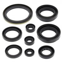 WINDEROSA (VERTEX) KOMPLET (ZESTAW) USZCZELNIACZY SILNIKOWYCH ARCTIC CAT 500 4X4 W/AT 00-02, 500 FIS 4X4 W/AT 02-09, SUZUKI LT-A 