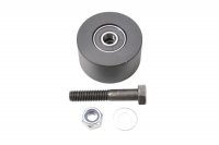 BEARING WORX ROLKA ŁAŃCUCHA HONDA CR 125R 00-07, CR 250R 82-01, CRF 250R 04-09, CRF 450F 02-09, CRF 450X 05-17 (8X43MM) (SZER. 2 