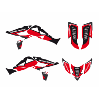 BLACKBIRD KOMPLET NAKLEJEK (OKLEINA) TRX 450R (04-23) Dream2 