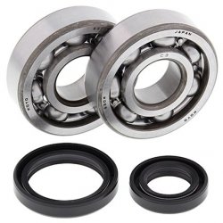 ALL BALLS ŁOŻYSKA WAŁU KORBOWEGO Z USZCZELNIACZAMI SUZUKI RM 80/85 89-22