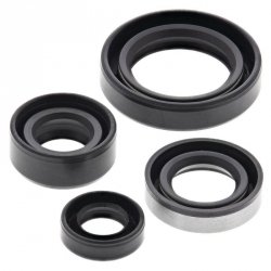 WINDEROSA (VERTEX) KOMPLET (ZESTAW) USZCZELNIACZY SILNIKOWYCH SUZUKI DR 350SE(DR350) 90-99
